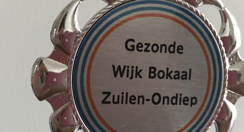 Nieuwjaarsbijeenkomst gezonde wijk Utrecht Noordwest